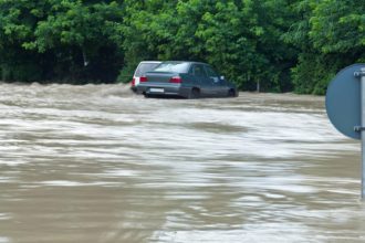 Gestão de redes sociais