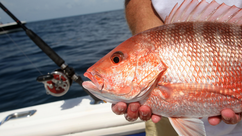 Cuidar do peixe é preservar o futuro da pesca esportiva, ressalta Joel Alves.