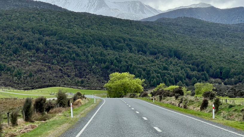 Fabio Jose Gentil Pereira Rosa comenta que comércio regional sustentável cria oportunidades estáveis e amplifica impacto social.