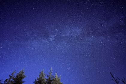 Estrela cadente risca o céu estrelado acima da silhueta de uma floresta.