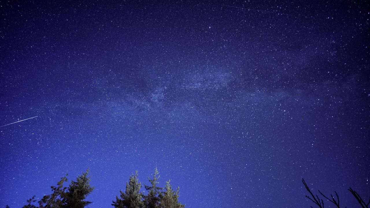 Estrela cadente risca o céu estrelado acima da silhueta de uma floresta.